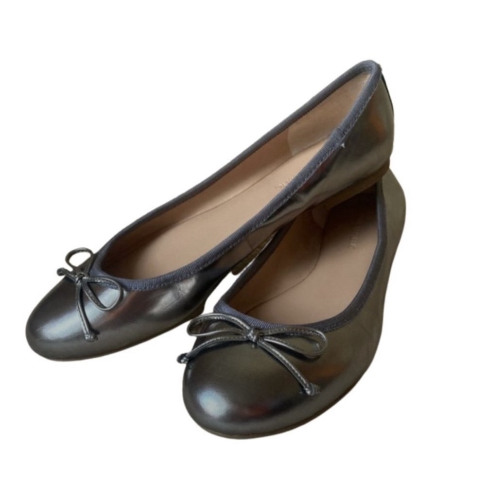 Banana Republic Leather Metallic Ballet Flat 8.5 Shoes